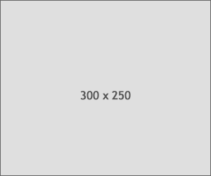 300x250 Ads
